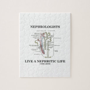 Nephrologists bor ett Nephritic liv (Nephron) Pussel