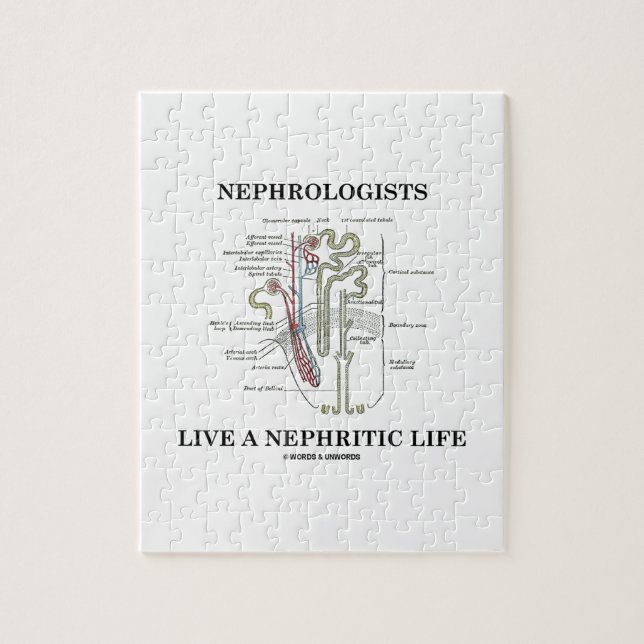 Nephrologists bor ett Nephritic liv (Nephron) Pussel (Vertikal)