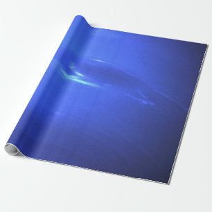 NEPTUNE PRESENTPAPPER