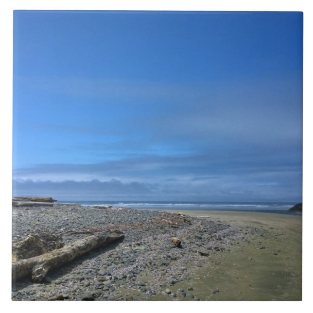 Neptune State Park, ELLER Kakelplatta (Framsidan)