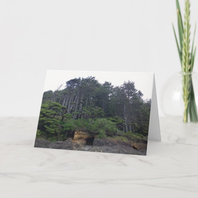 Neptune State Park, ELLER Kort (Framsida)