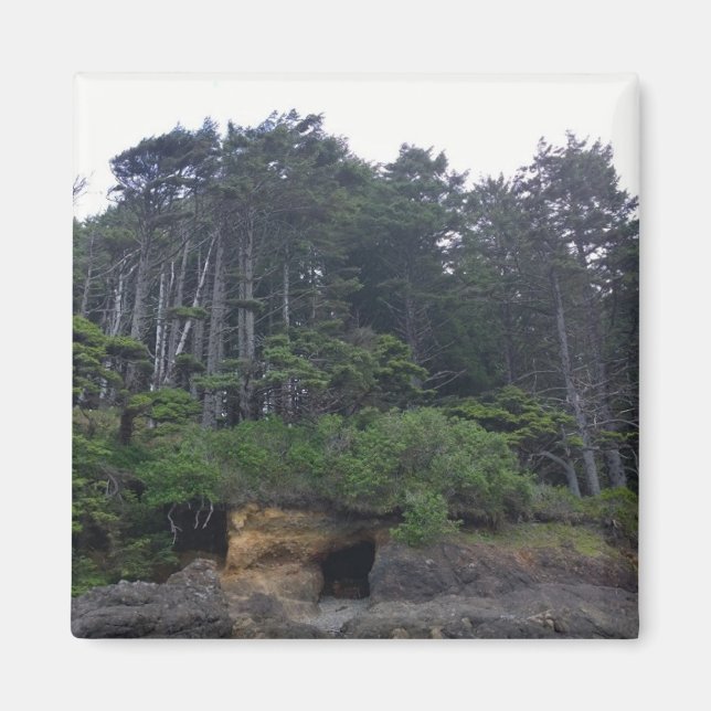 Neptune State Park, ELLER Magnet (Framsidan)