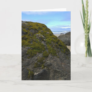 Neptune State Park, OR Kort