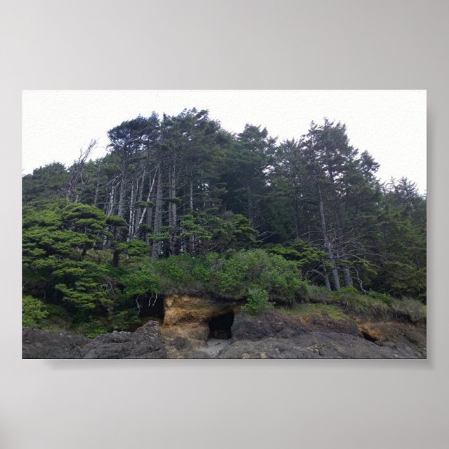 Neptune State Park, OR Poster (Framsidan)