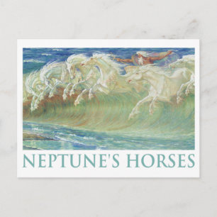 NEPTUNES HORSER RIDE VINKARA VYKORT