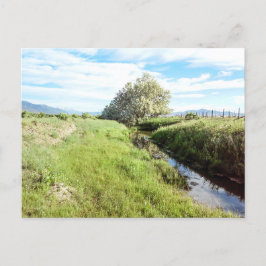 Ner av vykortet Bäck Vykort