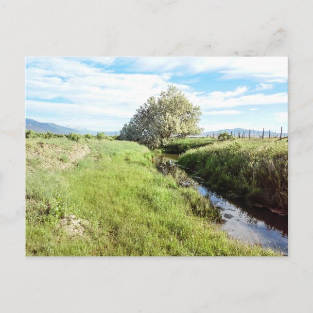 Ner av vykortet Bäck Vykort (Framsida)