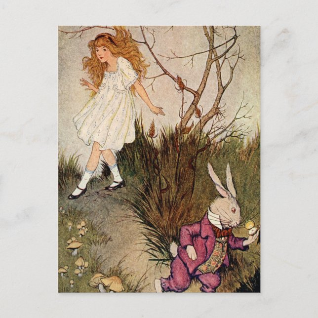 Ner Kanin Hål Vykort (Framsida)