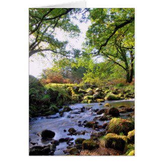 Ner vid floden hälsningskort