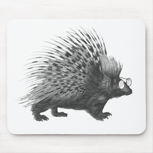 Nerdy Porcupine Musmatta (Framsidan)