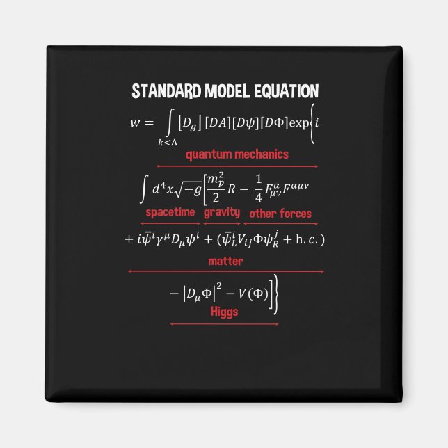 Nerdy Standard Model Equation - Gift for Physics2 Magnet (Framsidan)