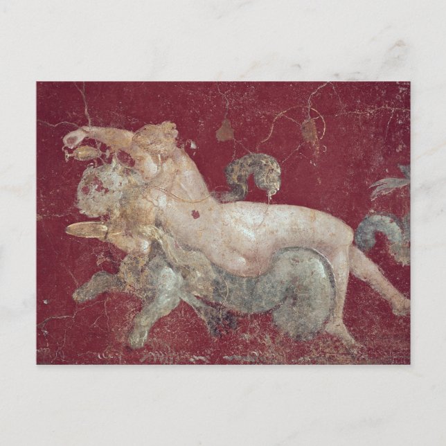 Nereid astride a sea tiger, från Stabiae Vykort (Framsida)
