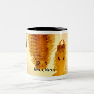 Nereis Nereis mugg