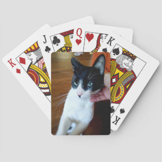Nero katten spelkort