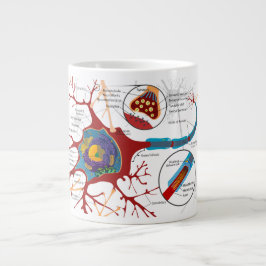 Nerve Cell Diagram Science Jumbo Mugg