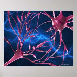 Nerve-synapser, datorgrafik. poster