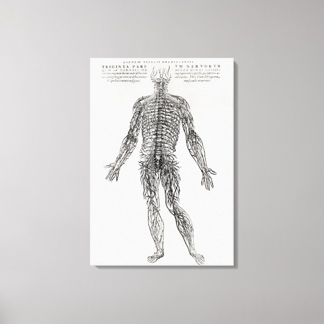 Nervous System (b/w-utskrift) Canvastryck (Framsida)