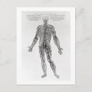 Nervous System (b/w-utskrift) Vykort