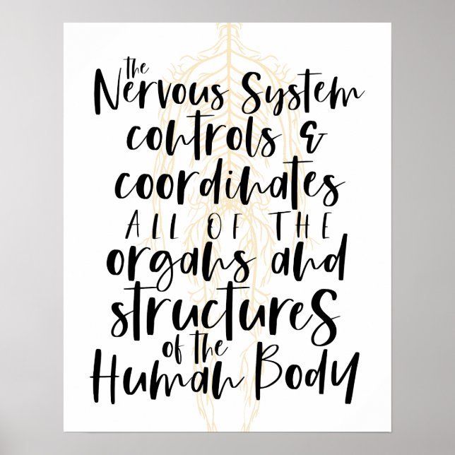 Nervous System Poster, Chiropractic Poster, Chiro  Poster (Framsidan)