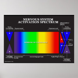 Nervsystem Activation Spectrum Poster