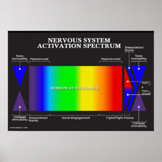 Nervsystem Activation Spectrum Poster