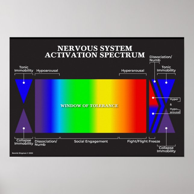 Nervsystem Activation Spectrum Poster (Framsidan)