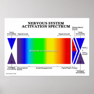 Nervsystem Activation Spectrum Poster