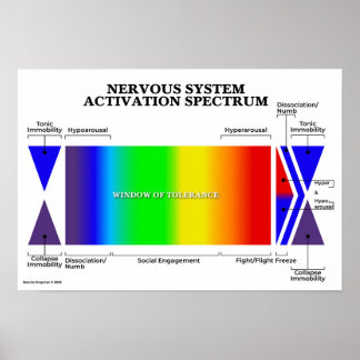 Nervsystem Activation Spectrum Poster