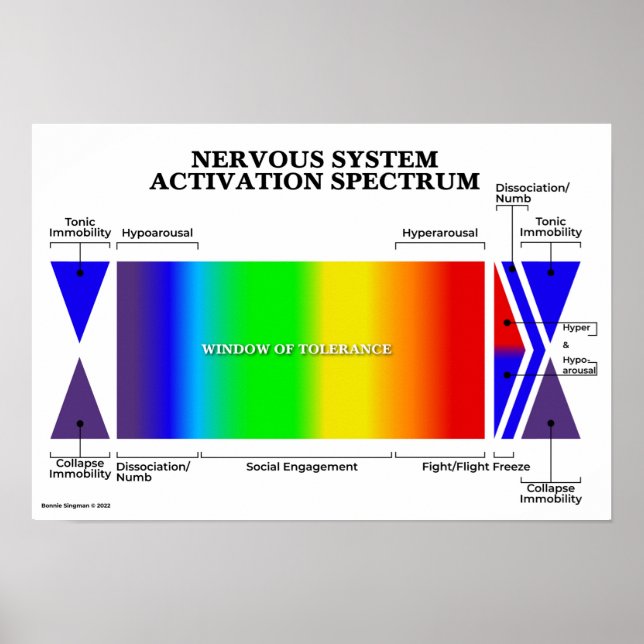 Nervsystem Activation Spectrum Poster (Framsidan)