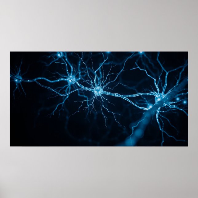 nervsystemet poster (Framsidan)
