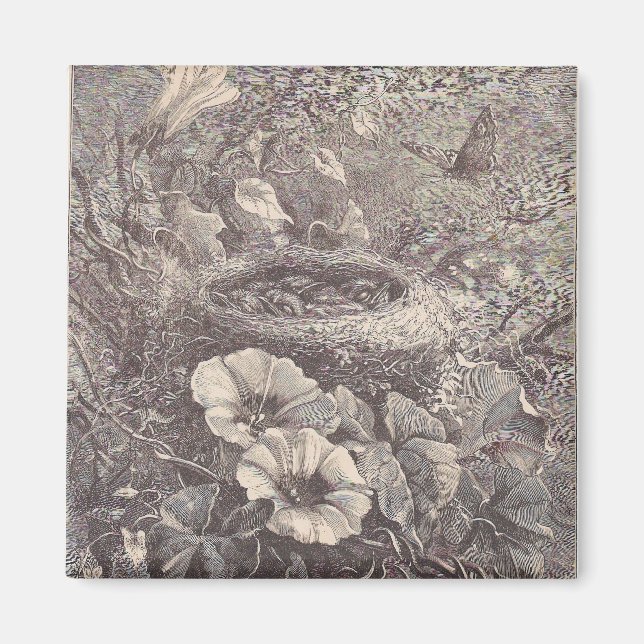 Nest, Flowers och Butterfly Magnet (Framsidan)