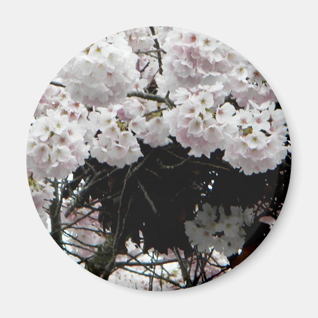 Nest Magnet (Framsidan)