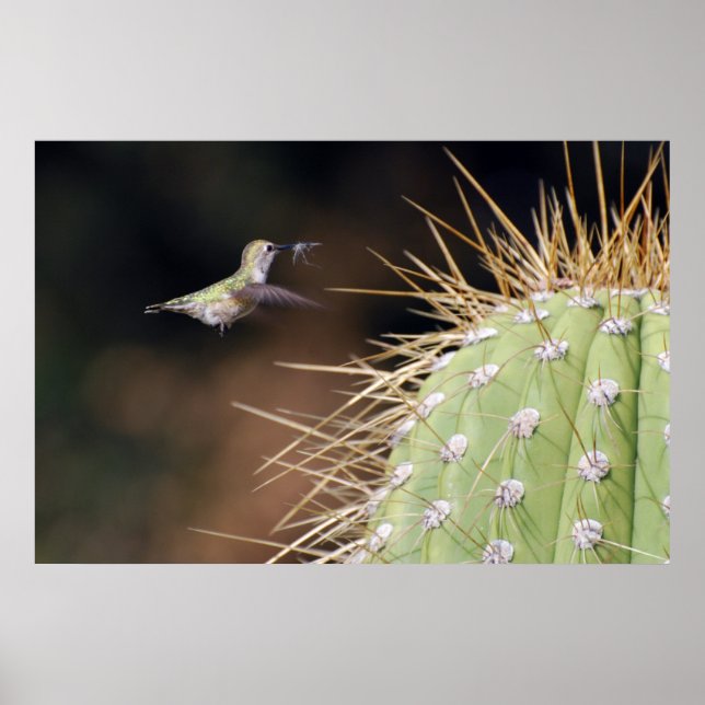 Nest Maker Poster (Framsidan)