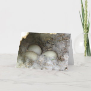 Nest of Anka Eggs Kort