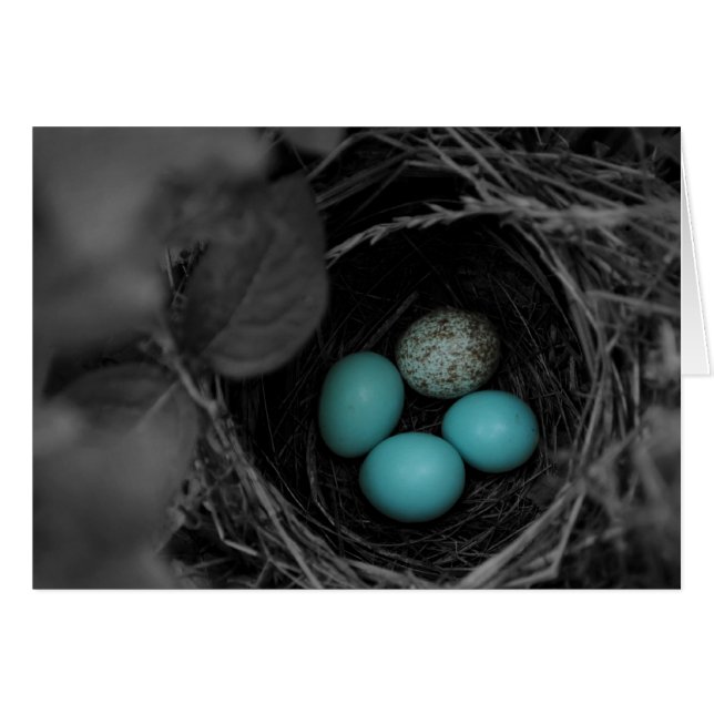 Nest parasitism hälsningskort (Framsidan Horizontal)