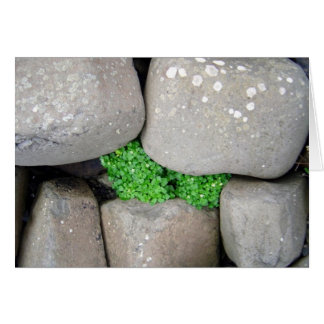 Nestle Hälsningskort