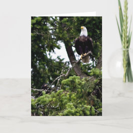 Nestling Card Kort