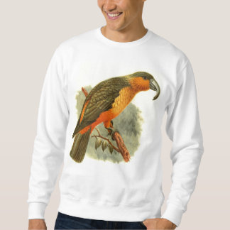 Nestor Norfolcensis grundläggande tröja Sweatshirt