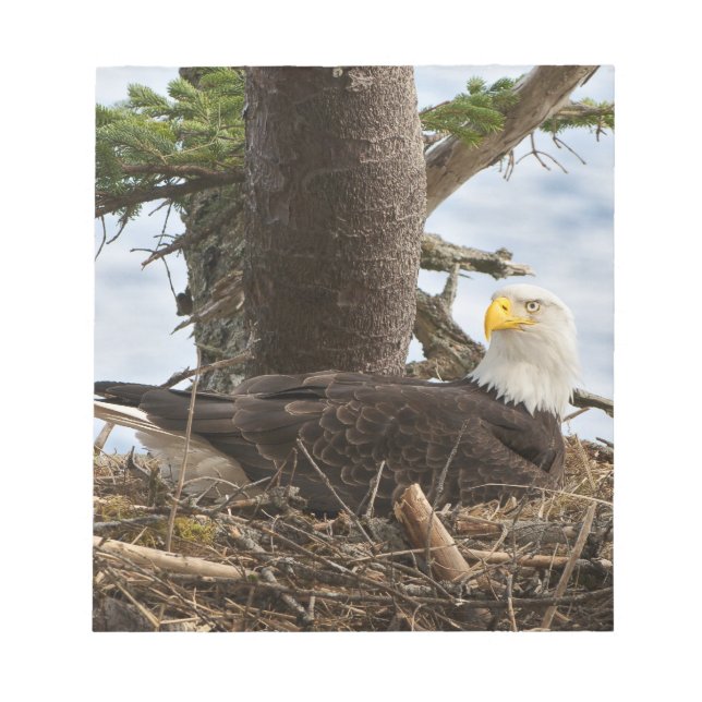 Nests Örn Anteckningsblock (Framsida)