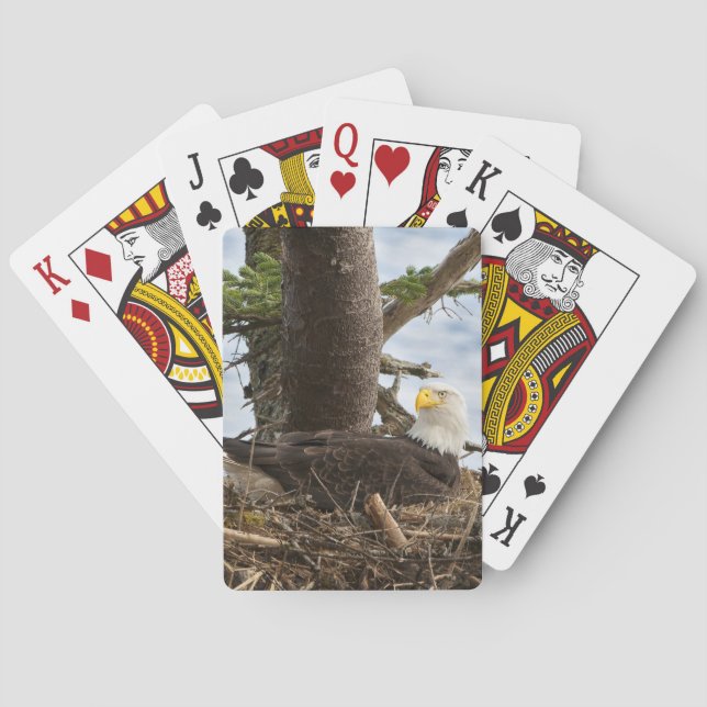 Nests Örn Casinokort (Baksidan)