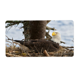 Nests Örn Fraktsedel