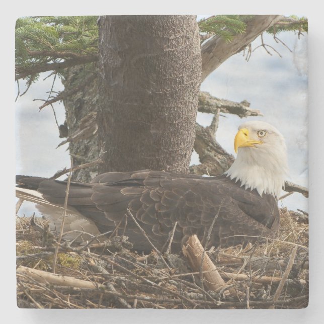 Nests Örn Stenunderlägg (Framsidan)