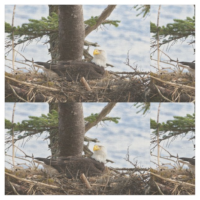 Nests Örn Tyg (Närbild)