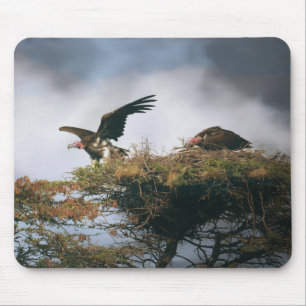Nests Vultures Mousepad Musmatta