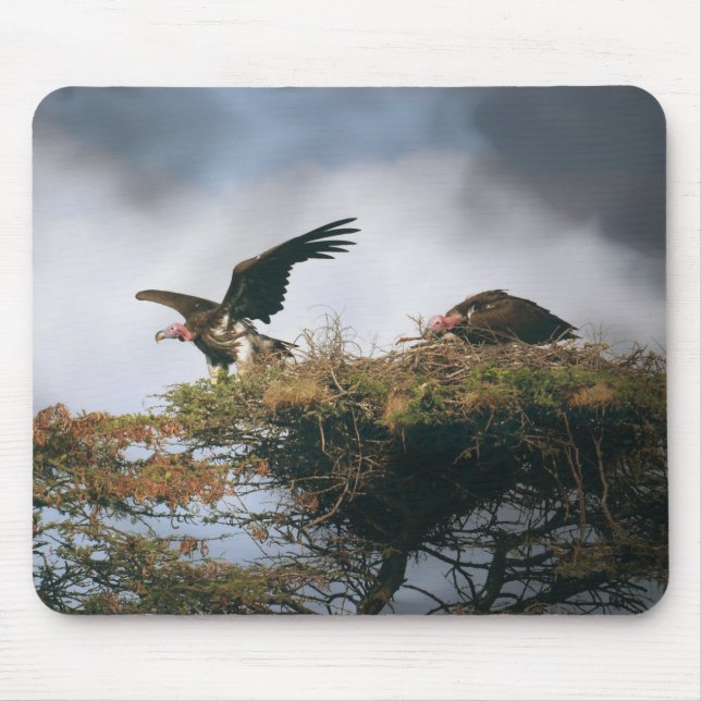 Nests Vultures Mousepad Musmatta (Framsidan)