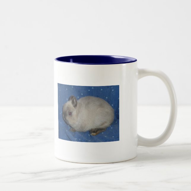 Netherland dvärg- Mug2 Två-Tonad Mugg (Höger)