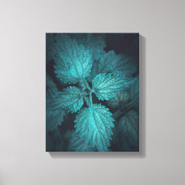 Nettle Nature Photo Canvastryck