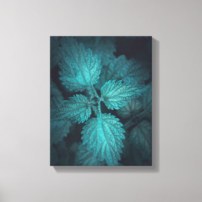 Nettle Nature Photo Canvastryck (Framsida)
