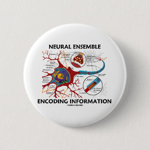 Neural information om helhetkodning (neuronen) knapp