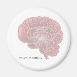Neural mjukhet magnet